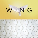 wing